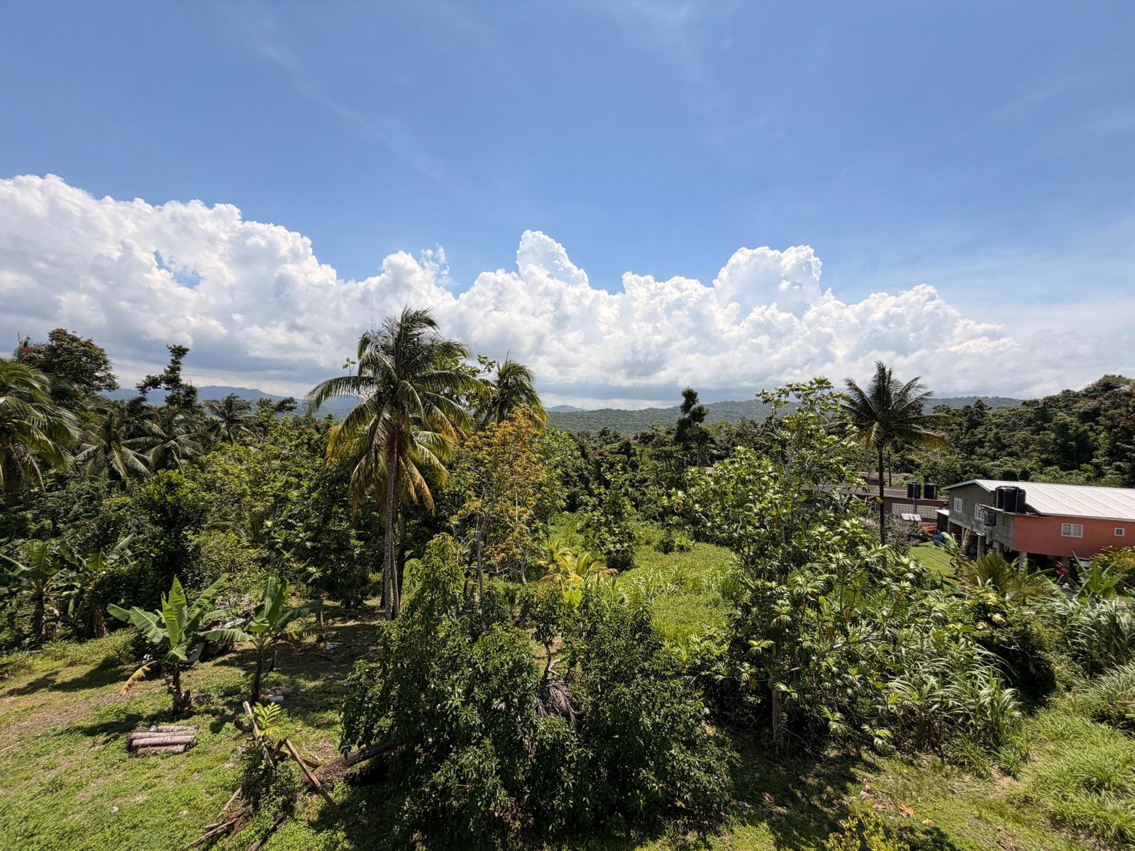 Twenty-Sixth image of Lyndale, Highgate in Highgate, St. Mary, Jamaica - property is For Sale