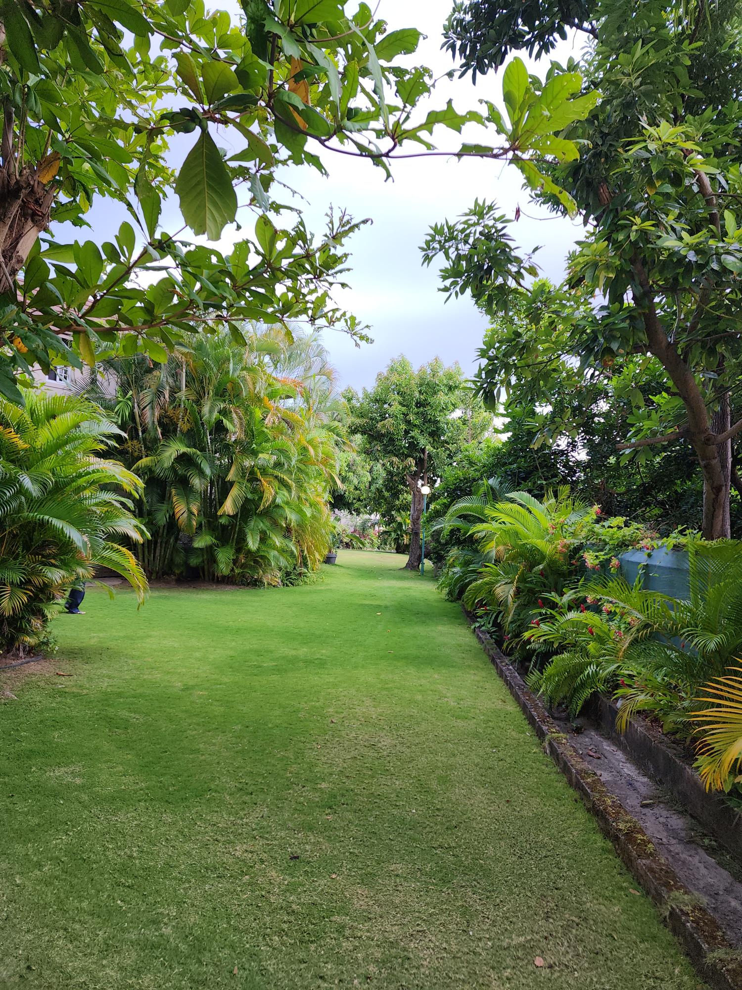 Fifteenth image of 8 Upper Mark Way in Kingston 8, St. Andrew, Jamaica - property is For Rent