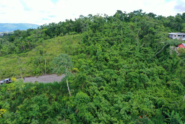 Twelfth image of Bloomfield Street in Mandeville, Manchester, Jamaica - property is For Sale
