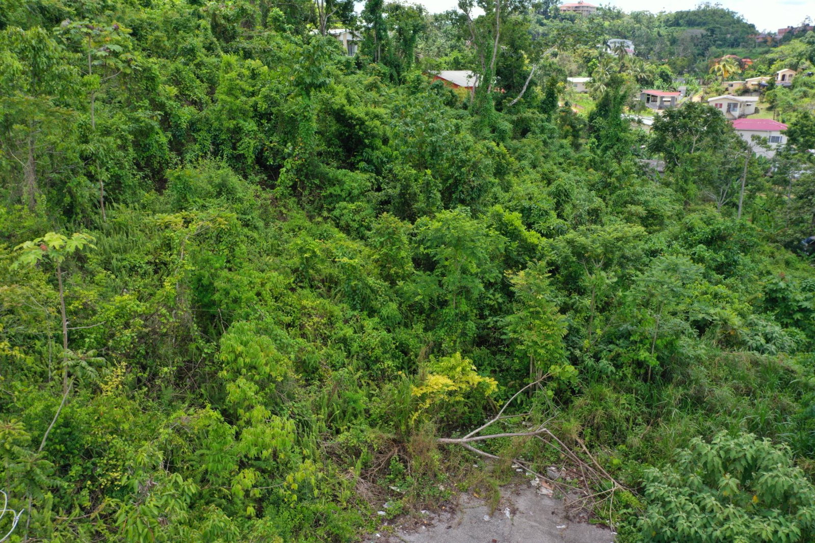 Fifteenth image of Bloomfield Street in Mandeville, Manchester, Jamaica - property is For Sale