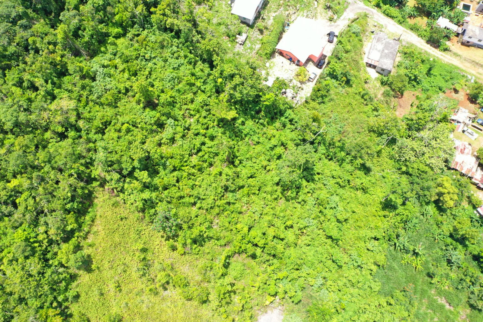 Sixteenth image of Bloomfield Street in Mandeville, Manchester, Jamaica - property is For Sale
