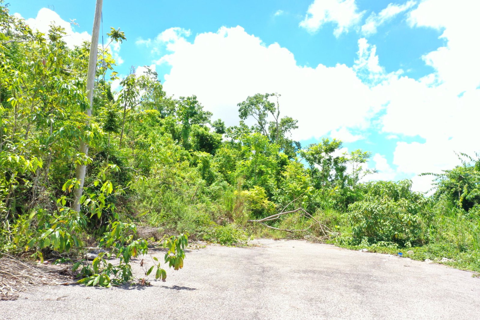 Seventeenth image of Bloomfield Street in Mandeville, Manchester, Jamaica - property is For Sale