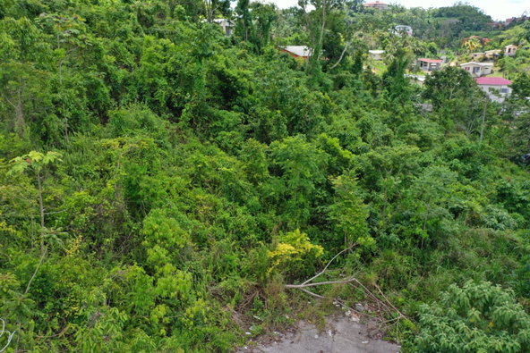 Eighteenth image of Bloomfield Street in Mandeville, Manchester, Jamaica - property is For Sale