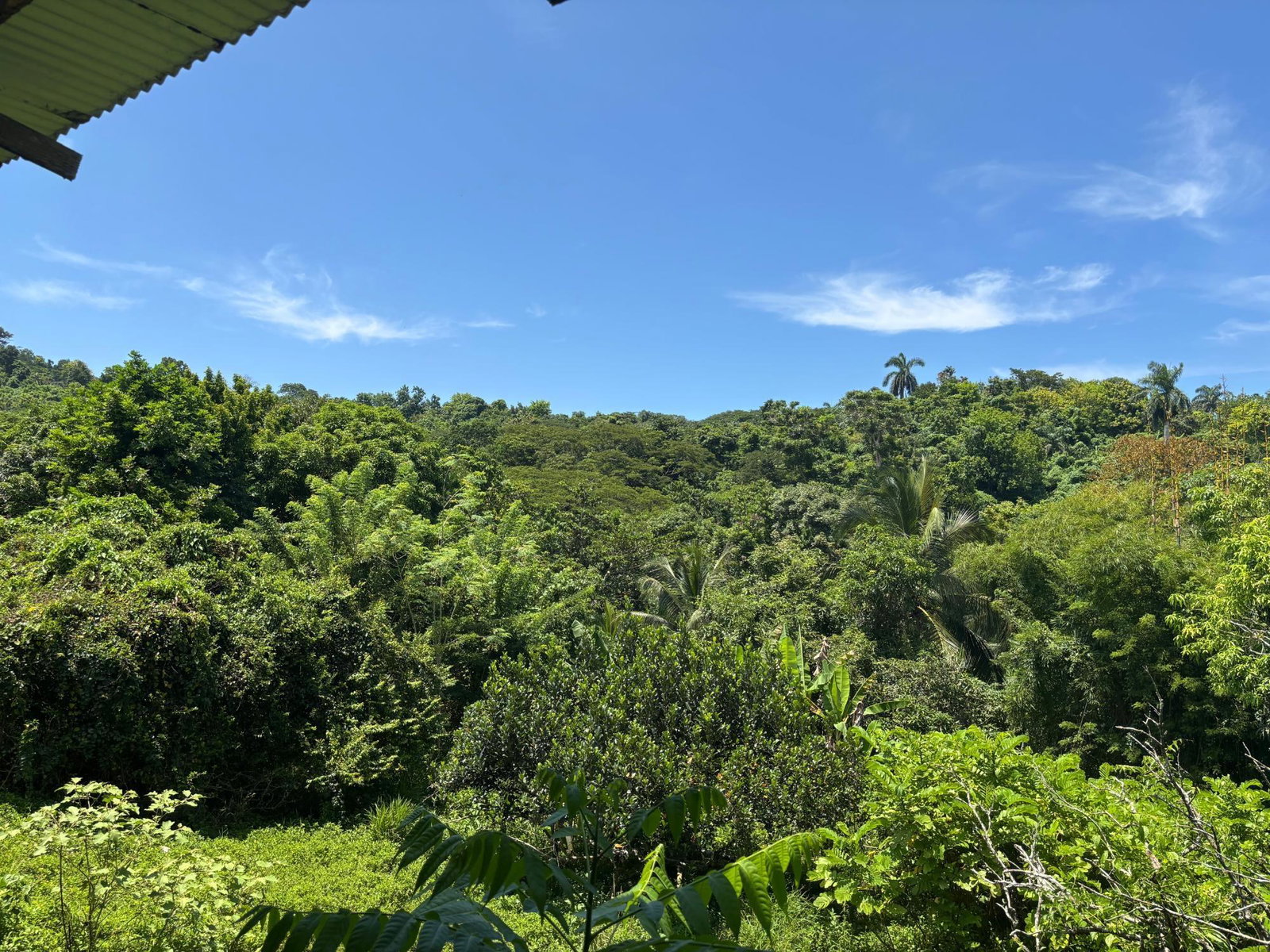 Thirteenth image of 44 Haughton Court, Lucea, ha in Haughton Court, Hanover, Jamaica - property is For Sale