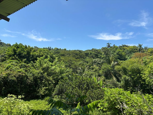 Thirteenth image of 44 Haughton Court, Lucea, ha in Haughton Court, Hanover, Jamaica - property is For Sale