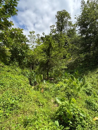 Sixteenth image of 44 Haughton Court, Lucea, ha in Haughton Court, Hanover, Jamaica - property is For Sale