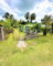 First image of Part of Haughton Grove pe in Haughton Grove, Hanover, Jamaica - property is For Sale