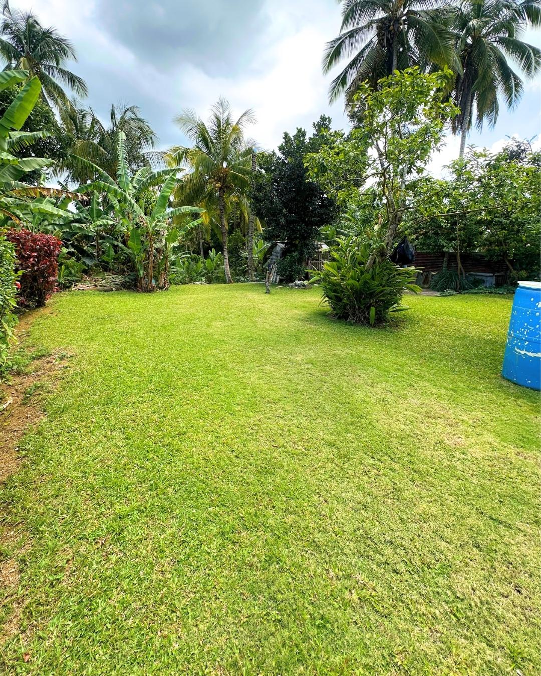 Fifteenth image of Part of Haughton Grove pe in Haughton Grove, Hanover, Jamaica - property is For Sale