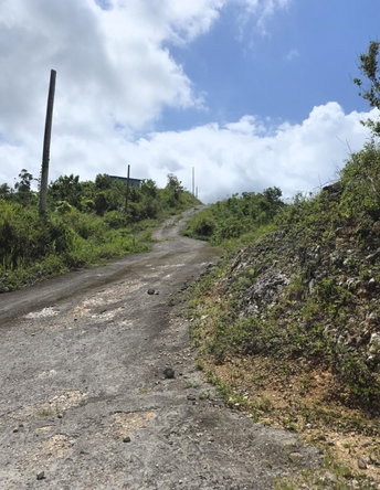 Fourth image of Part of Rock Hall, Red hi in Kingston 19, St. Andrew, Jamaica - property is For Sale