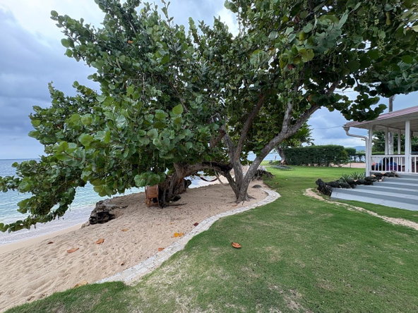 Tenth image of West End Road, Negril in Negril, Westmoreland, Jamaica - property is For Sale