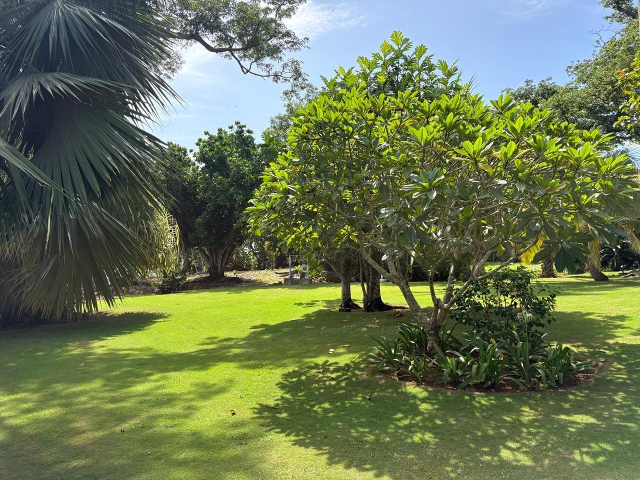 Seventeenth image of West End Road, Negril in Negril, Westmoreland, Jamaica - property is For Sale