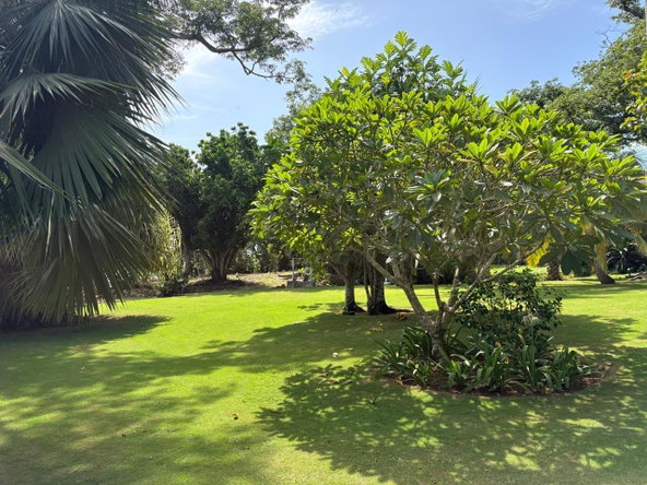 Seventeenth image of West End Road, Negril in Negril, Westmoreland, Jamaica - property is For Sale