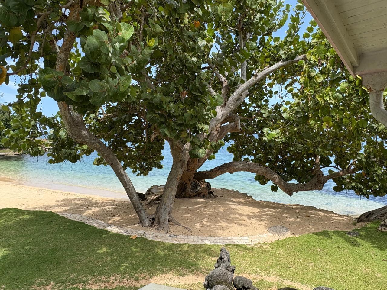 Fifth image of West End Road, Negril in Negril, Westmoreland, Jamaica - property is For Sale