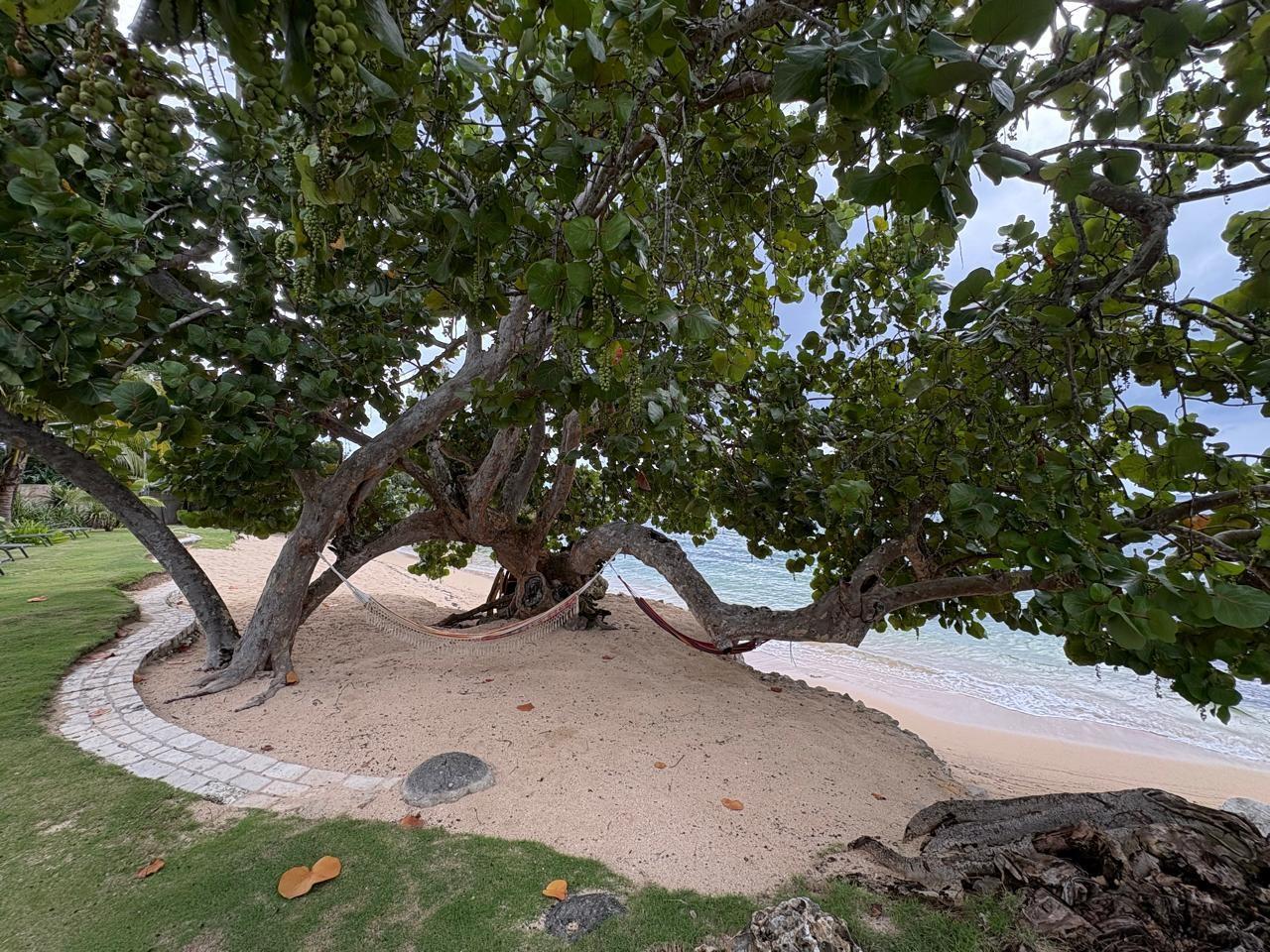 Ninth image of West End Road, Negril in Negril, Westmoreland, Jamaica - property is For Sale