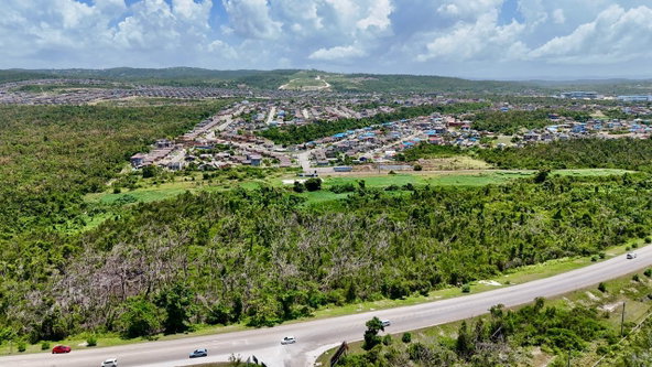 Eleventh image of Sandy Ground, Trelawny in Falmouth, Trelawny, Jamaica - property is For Sale