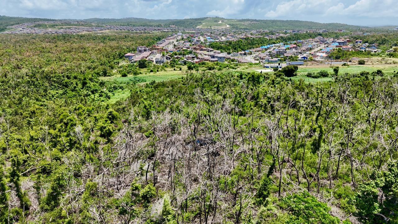 Seventh image of Sandy Ground, Trelawny in Falmouth, Trelawny, Jamaica - property is For Sale
