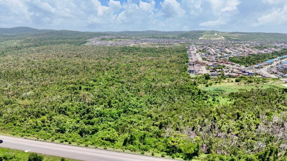 Eighth image of Sandy Ground, Trelawny in Falmouth, Trelawny, Jamaica - property is For Sale