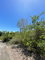 First image of Sevens Plantation in May Pen, Clarendon, Jamaica - property is For Sale