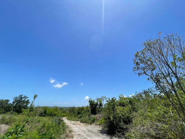 Third image of Sevens Plantation in May Pen, Clarendon, Jamaica - property is For Sale
