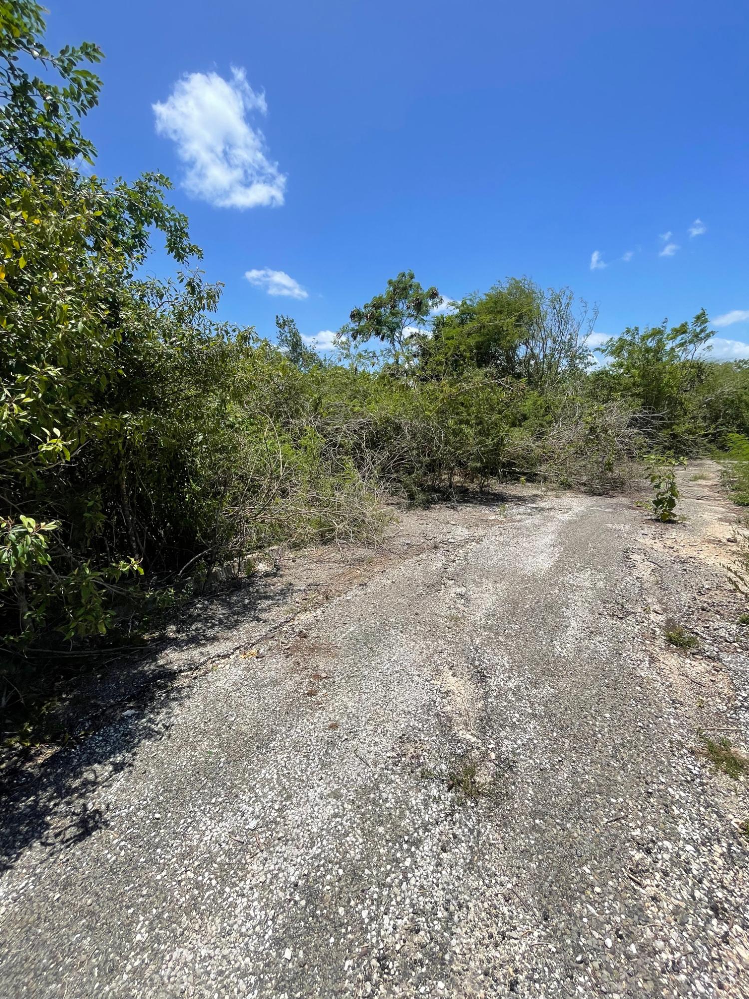 Fourth image of Sevens Plantation in May Pen, Clarendon, Jamaica - property is For Sale
