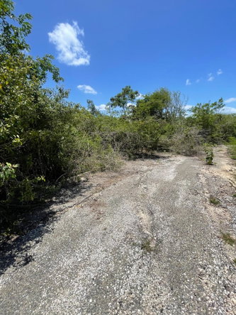 Fourth image of Sevens Plantation in May Pen, Clarendon, Jamaica - property is For Sale