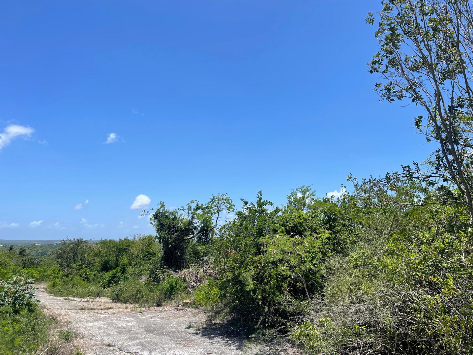 Fifth image of Sevens Plantation in May Pen, Clarendon, Jamaica - property is For Sale