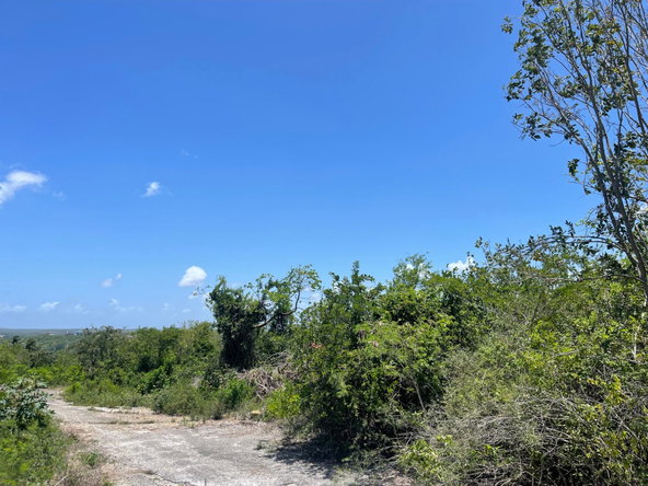 Fifth image of Sevens Plantation in May Pen, Clarendon, Jamaica - property is For Sale