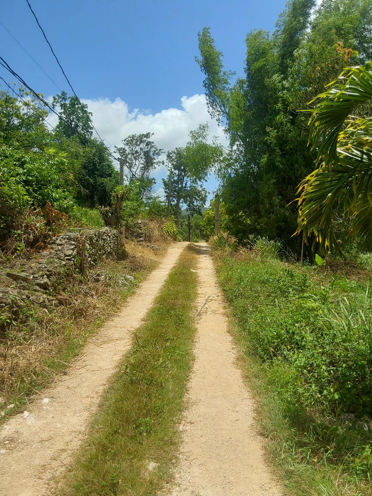 Seventh image of Williamsfield Pen Manches in Williamsfield, Manchester, Jamaica - property is For Sale