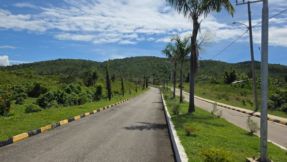 Sixth image of Lot #227- Palm Brook Estate, Lacovi in Lacovia, St. Elizabeth, Jamaica - property is For Sale