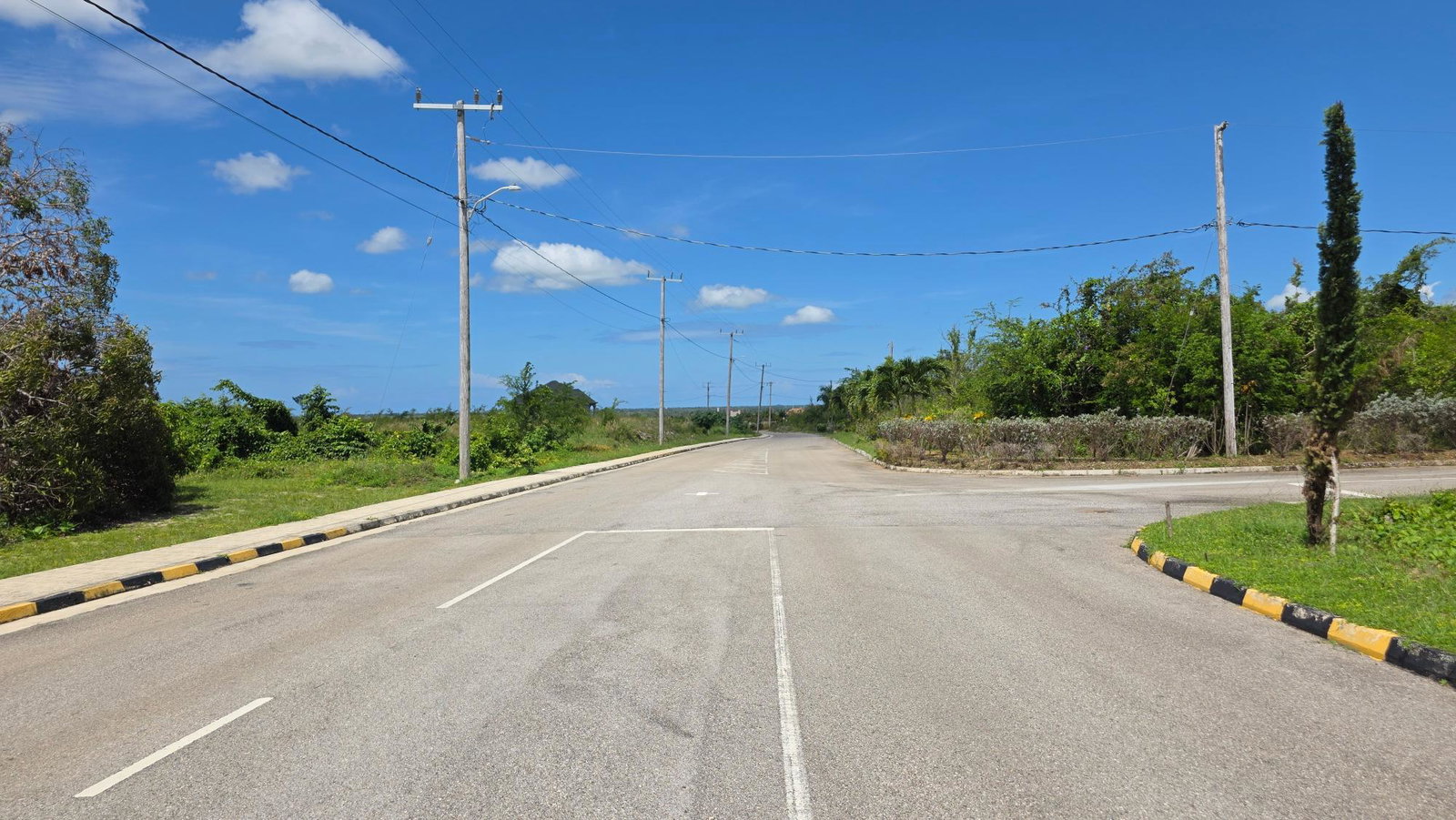 Seventh image of Lot #227- Palm Brook Estate, Lacovi in Lacovia, St. Elizabeth, Jamaica - property is For Sale