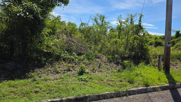Eighth image of Lot #227- Palm Brook Estate, Lacovi in Lacovia, St. Elizabeth, Jamaica - property is For Sale