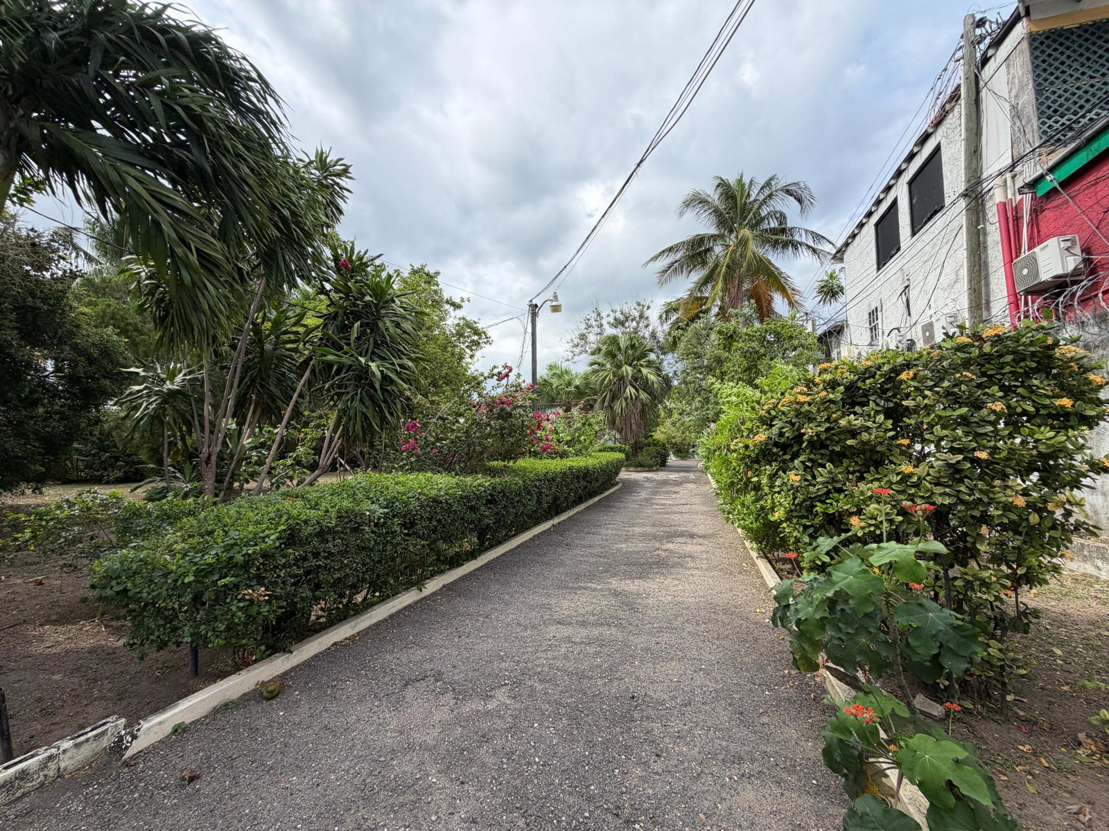 Twelfth image of 40 Trafalgar Road in Kingston 10, St. Andrew, Jamaica - property is For Sale