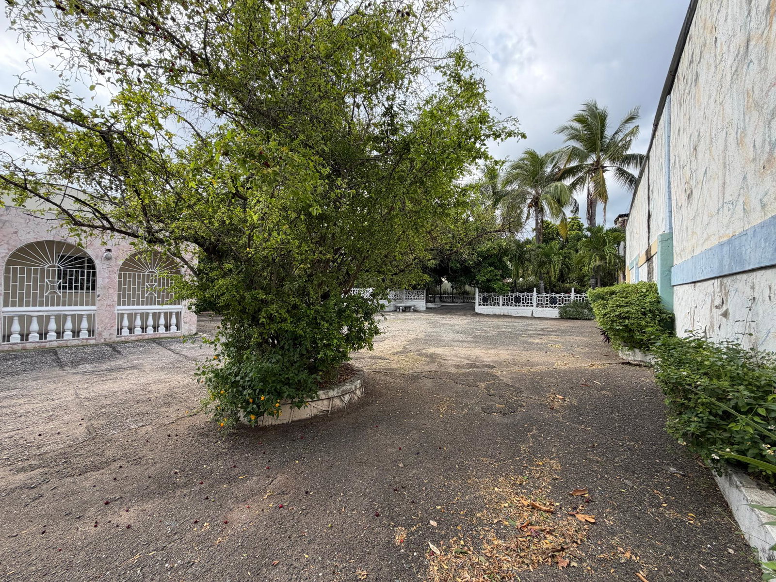 Twenty-First image of 40 Trafalgar Road in Kingston 10, St. Andrew, Jamaica - property is For Sale