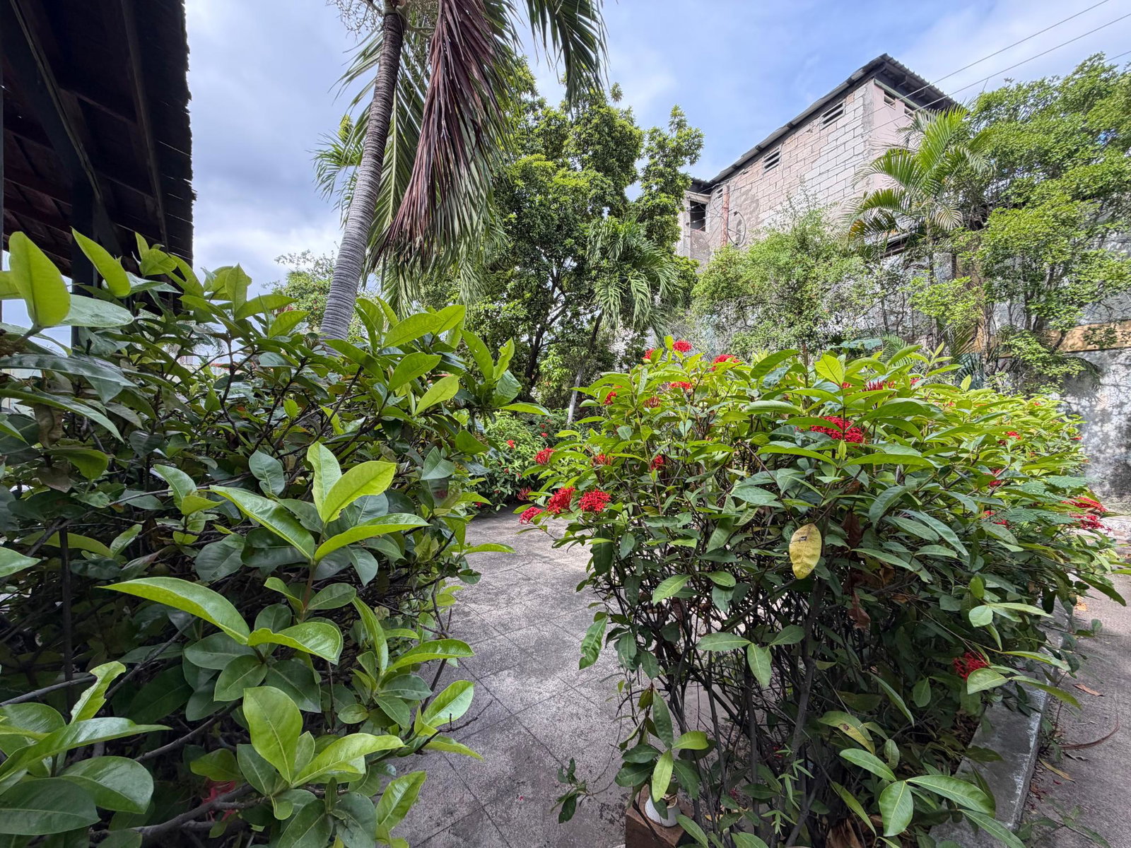Twenty-Eighth image of 40 Trafalgar Road in Kingston 10, St. Andrew, Jamaica - property is For Sale