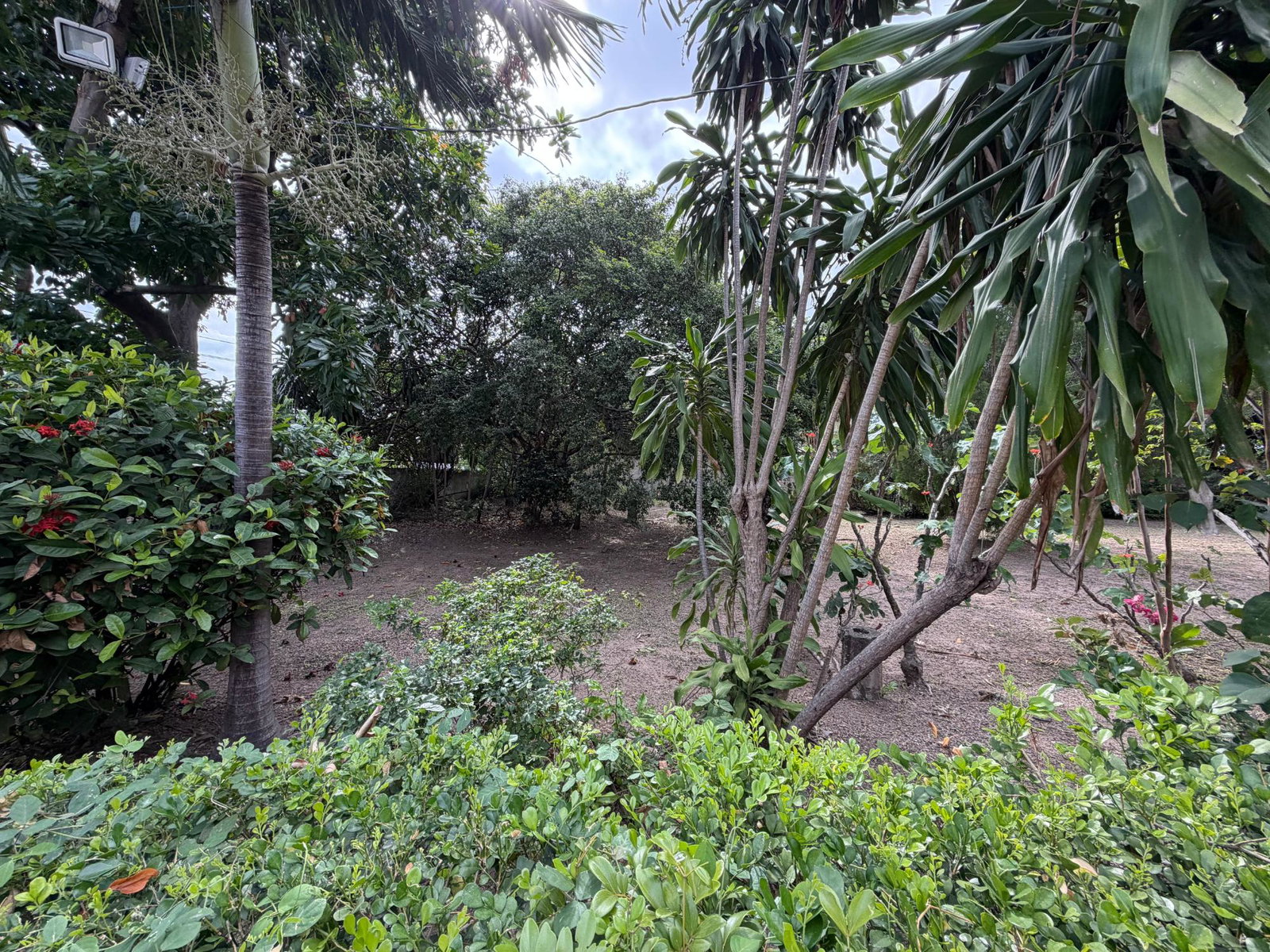 Fifth image of 40 Trafalgar Road in Kingston 10, St. Andrew, Jamaica - property is For Sale