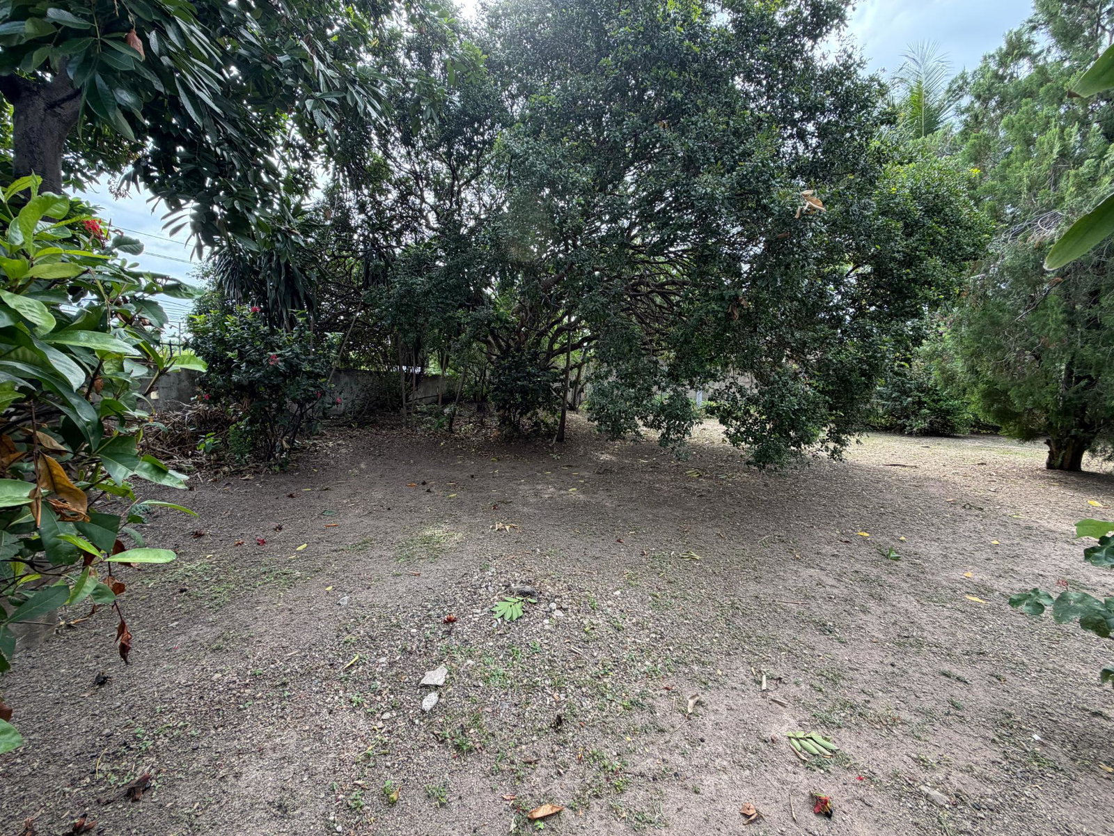 Sixth image of 40 Trafalgar Road in Kingston 10, St. Andrew, Jamaica - property is For Sale