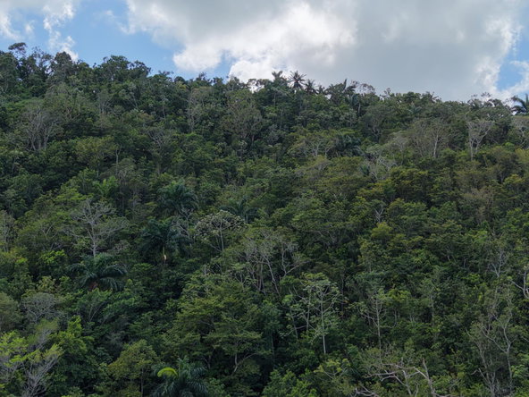 Second image of Breezy Hill in Retreat, St. Mary, Jamaica - property is For Sale