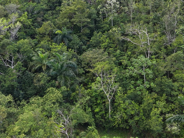 Third image of Breezy Hill in Retreat, St. Mary, Jamaica - property is For Sale