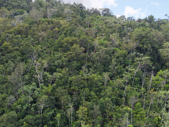 Fourth image of Breezy Hill in Retreat, St. Mary, Jamaica - property is For Sale