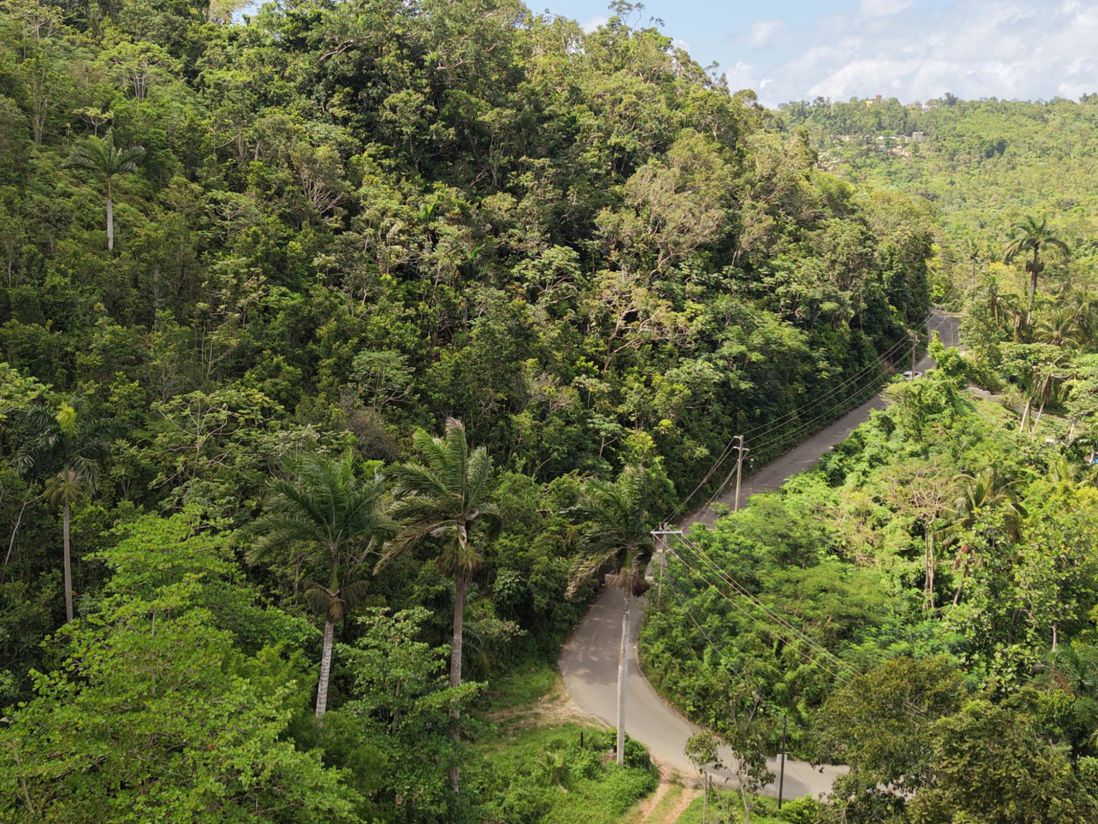 Fifth image of Breezy Hill in Retreat, St. Mary, Jamaica - property is For Sale