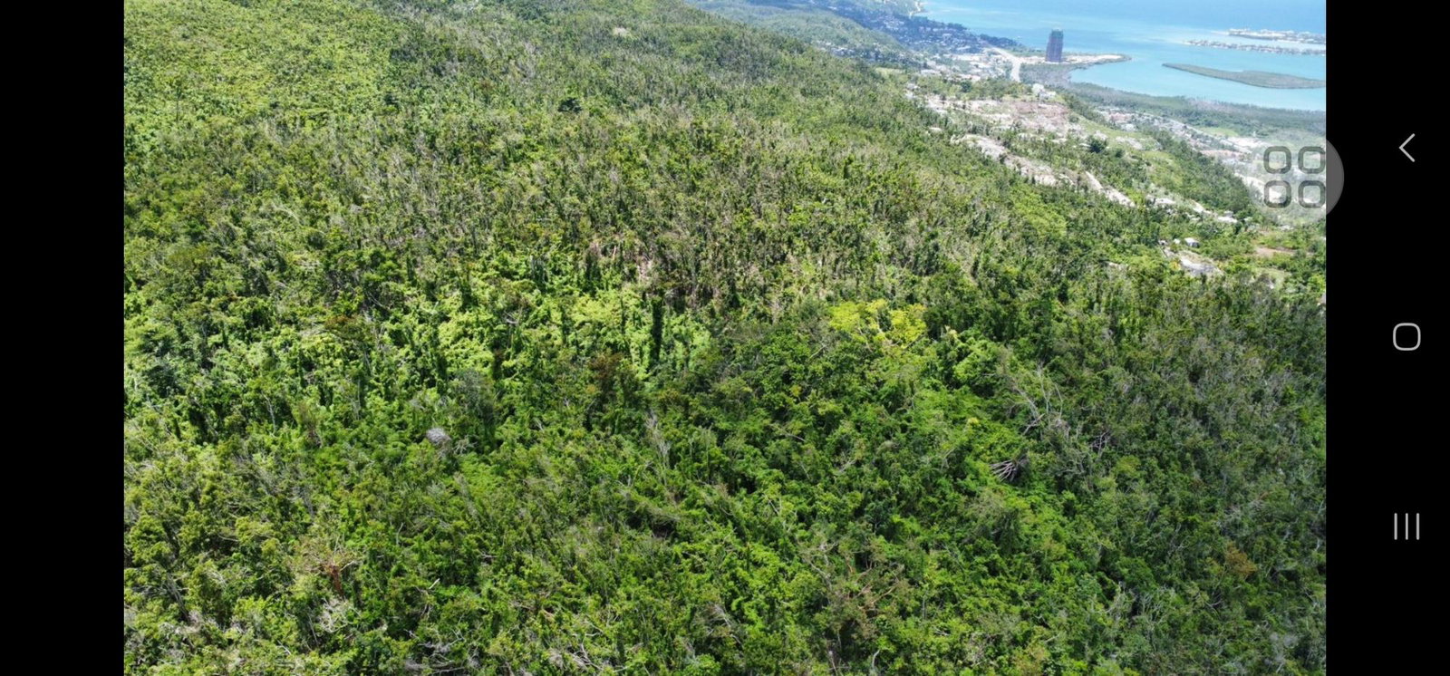 Second image of Lot 2 Ramble Hill in Bogue, St. James, Jamaica - property is For Sale