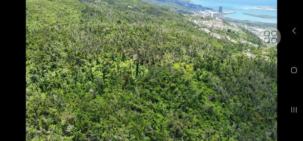Second image of Lot 2 Ramble Hill in Bogue, St. James, Jamaica - property is For Sale