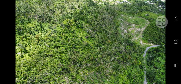 Third image of Lot 2 Ramble Hill in Bogue, St. James, Jamaica - property is For Sale