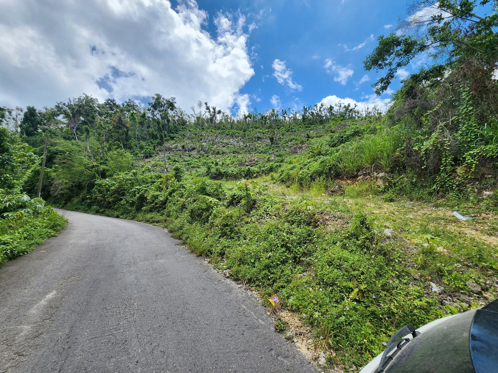 Fourth image of Lot 2 Ramble Hill in Bogue, St. James, Jamaica - property is For Sale