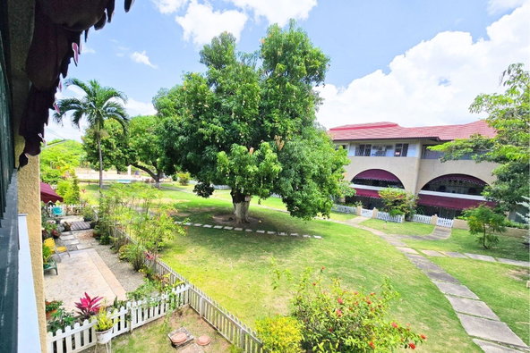 Third image of 26-60 Hope Road in Kingston 6, St. Andrew, Jamaica - property is For Rent