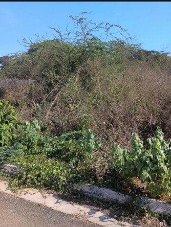 Third image of 101- Aqueduct Country Club in Bushy Park, St. Catherine, Jamaica - property is For Sale