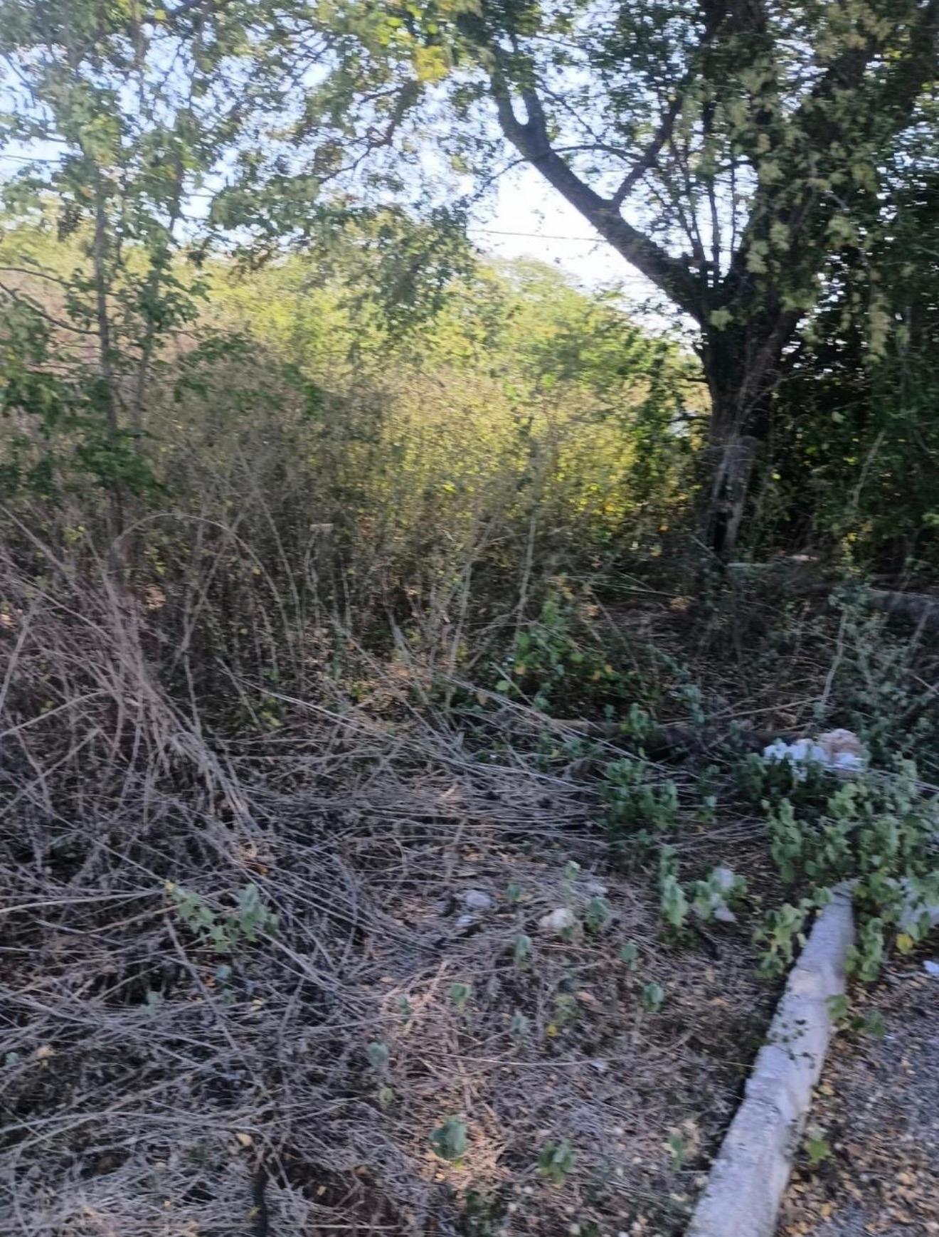 Fourth image of 101- Aqueduct Country Club in Bushy Park, St. Catherine, Jamaica - property is For Sale