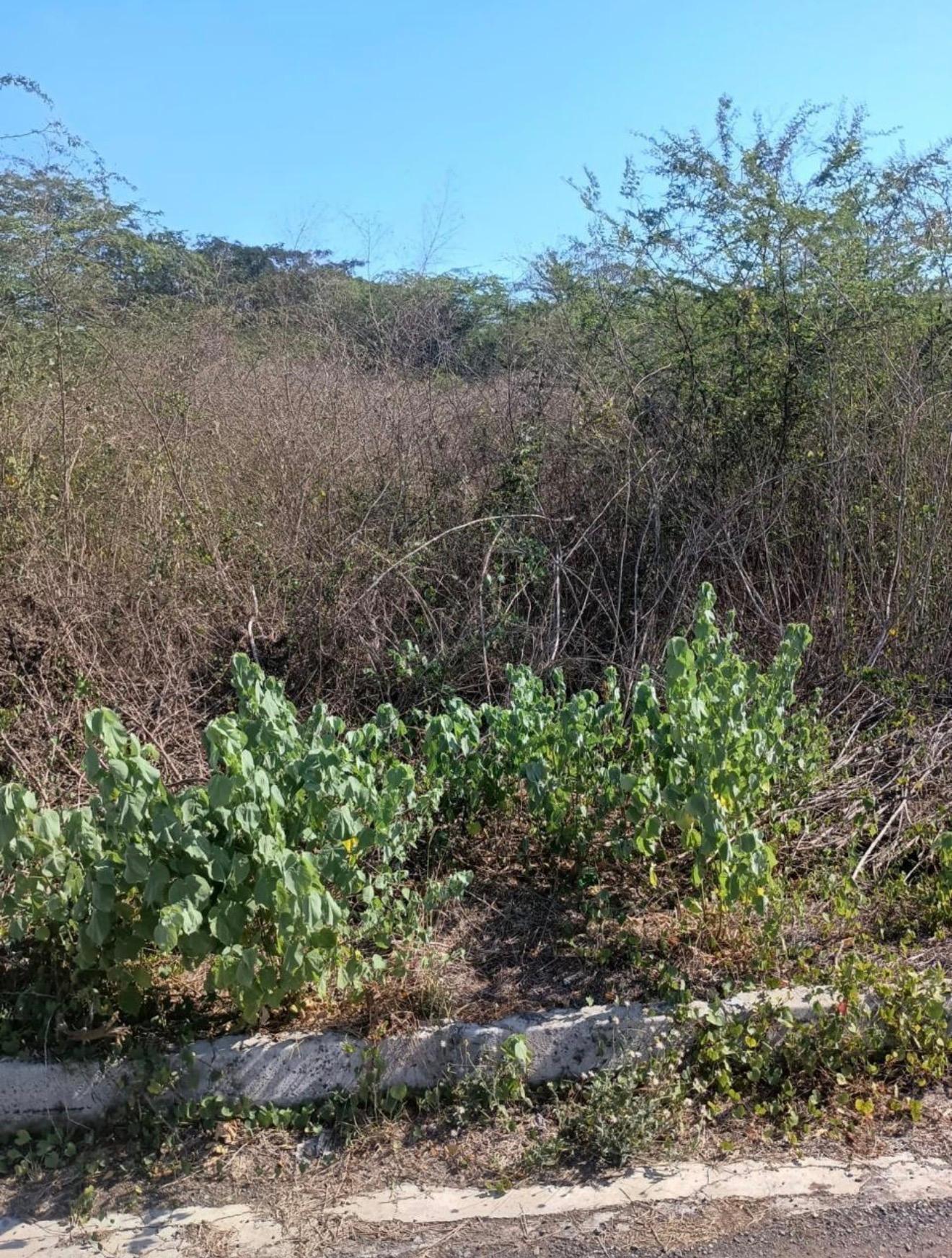 Sixth image of 101- Aqueduct Country Club in Bushy Park, St. Catherine, Jamaica - property is For Sale