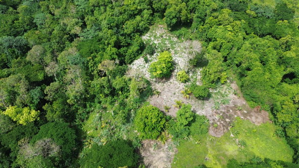 Eleventh image of Warwick Castle in Gayle, St. Mary, Jamaica - property is For Sale