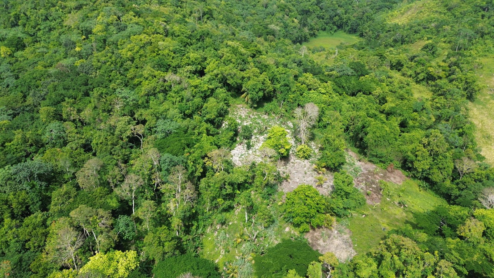 Twelfth image of Warwick Castle in Gayle, St. Mary, Jamaica - property is For Sale
